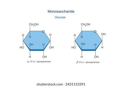 CHỦ ĐỀ 2: CARBOHYDRATEBÀI 3. GIỚI THIỆU VỀ HYDROCARBON