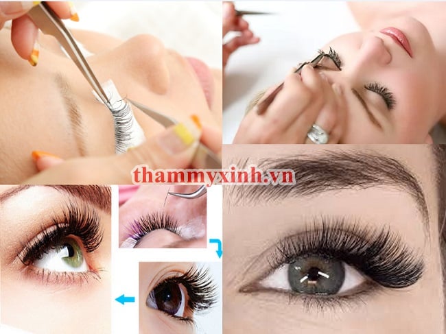 Trung tâm dạy học nối mi thẩm mỹ Xinh Xinh