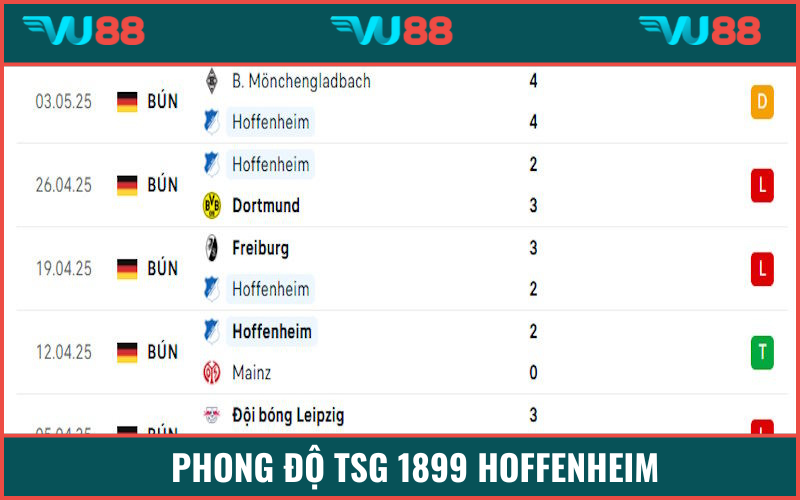 Hàng trang sơ sài của Hoffenheim trước vòng 33 Bundesliga