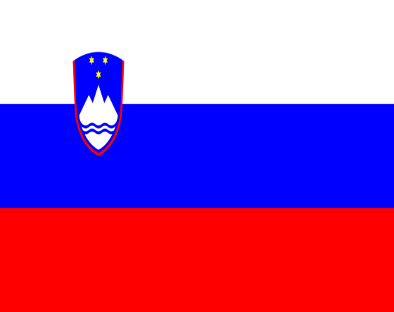 A flag with a red blue and white stripe

Description automatically generated