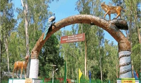 Sukhna Wildlife Sanctuary