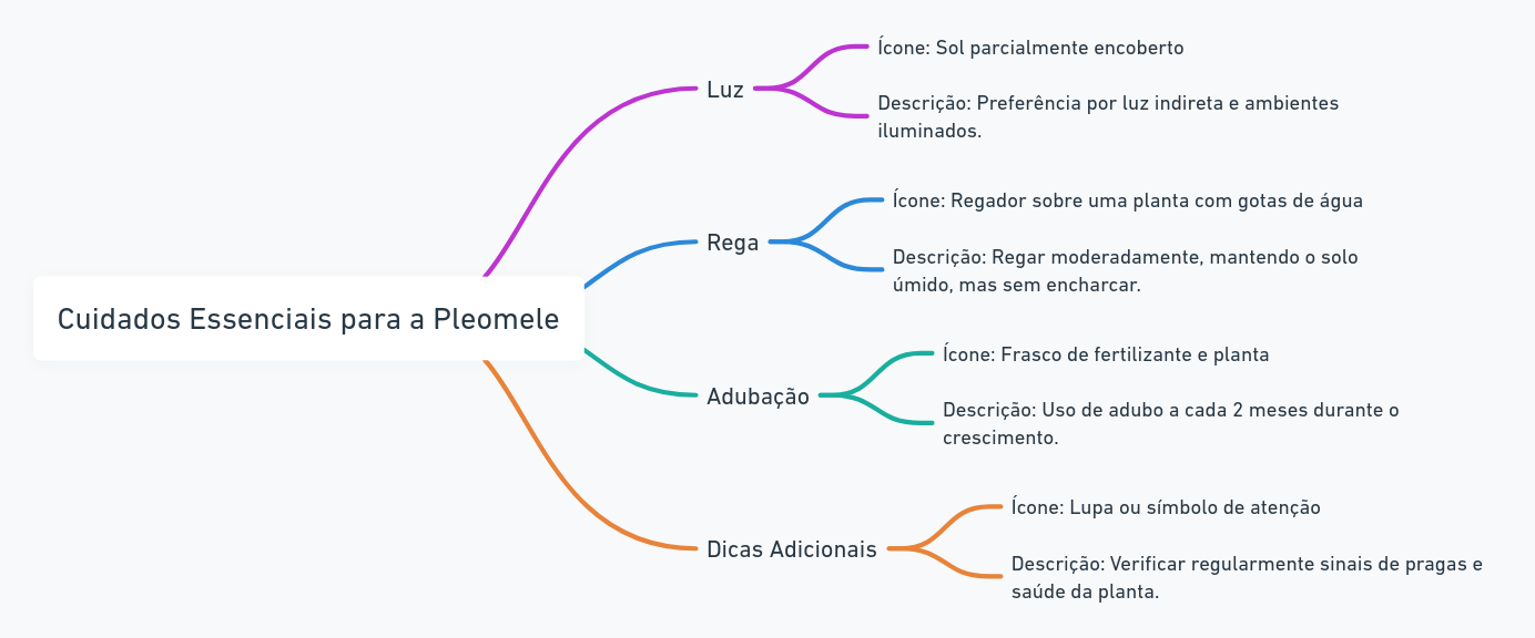 infografico Cuidados Essenciais com a Pleomele