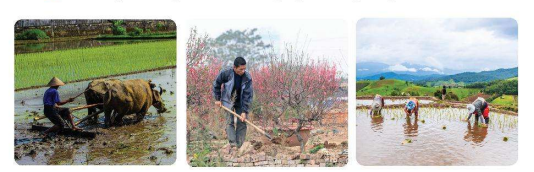 BÀI 30: CÁNH ĐỒNG QUÊ EM (6 tiết)TIẾT 4: LUYỆN TỪ VÀ CÂU