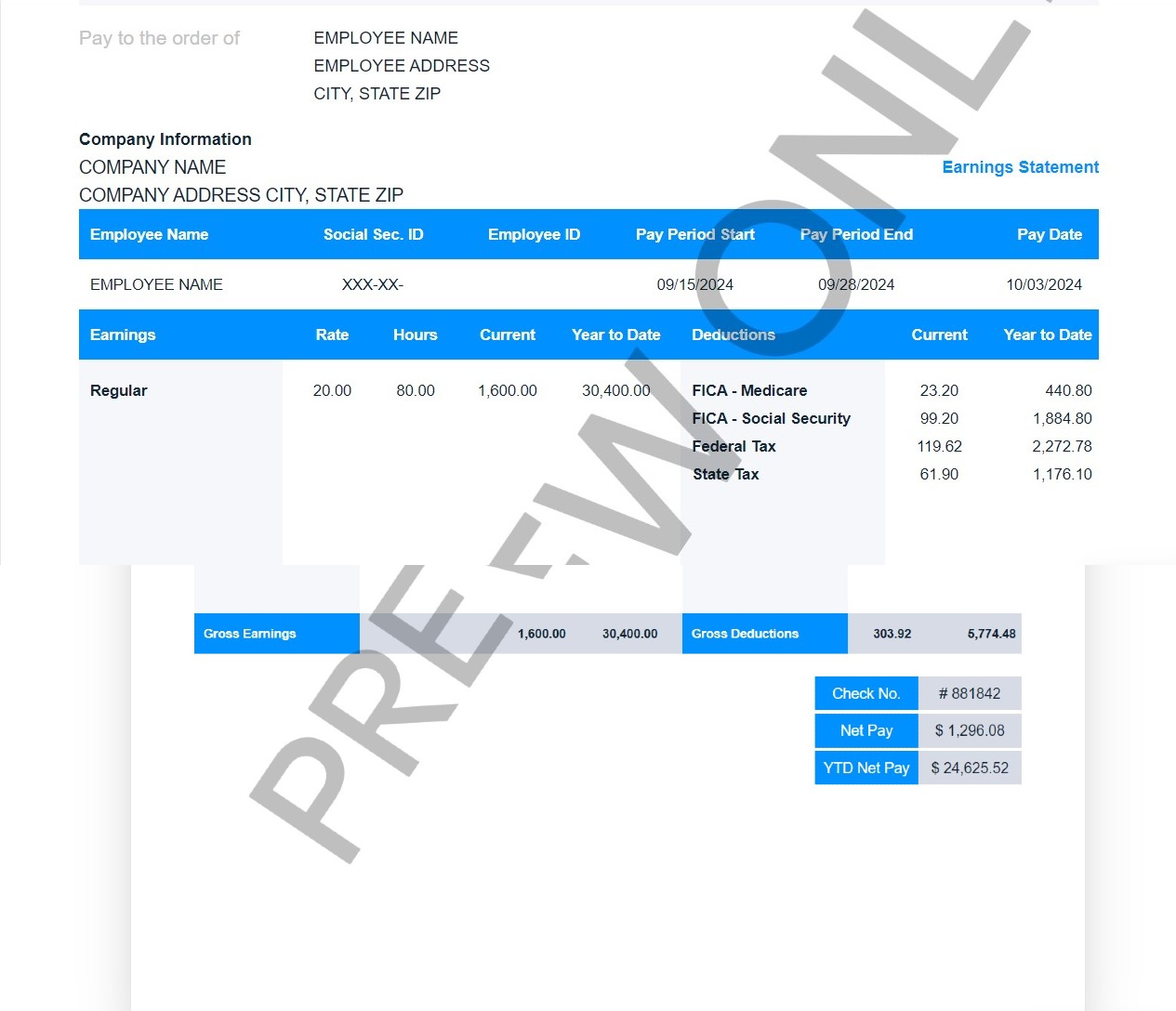 Paystub Example