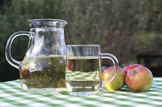 Weight loss Supplements Ingredients Comprehensive study