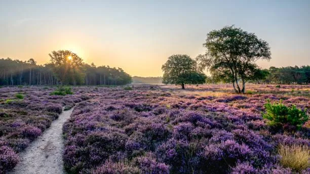 Breathtaking Scenery You Have to See to Believe, breathtaking scenery, amazing nature, nature, landscape, surreal photos, real beauty
