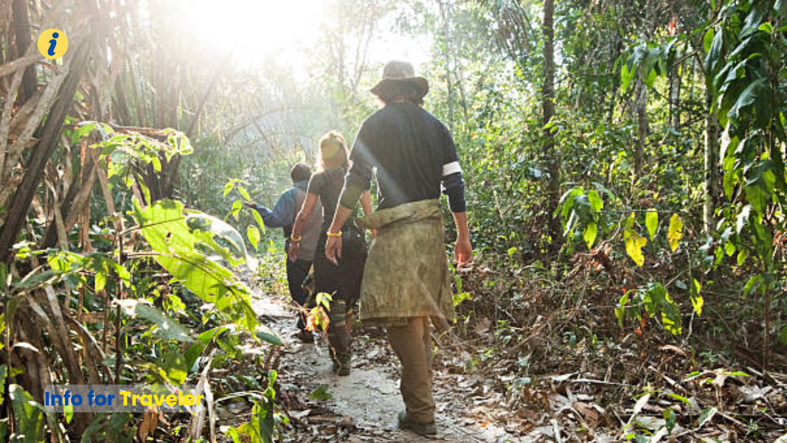 Unique wildlife in Peruvian Amazon