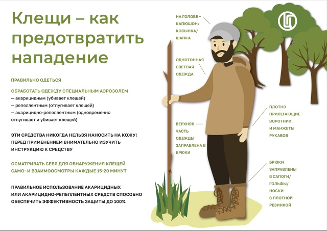 Осторожно, клещи!