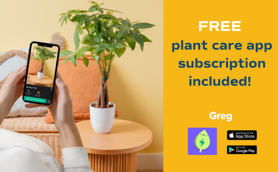 Transform Your Arizona Home Green