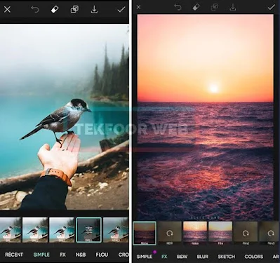 تحميل picsart بدون علامة مائية اخر اصدار 2024 للاندرويد