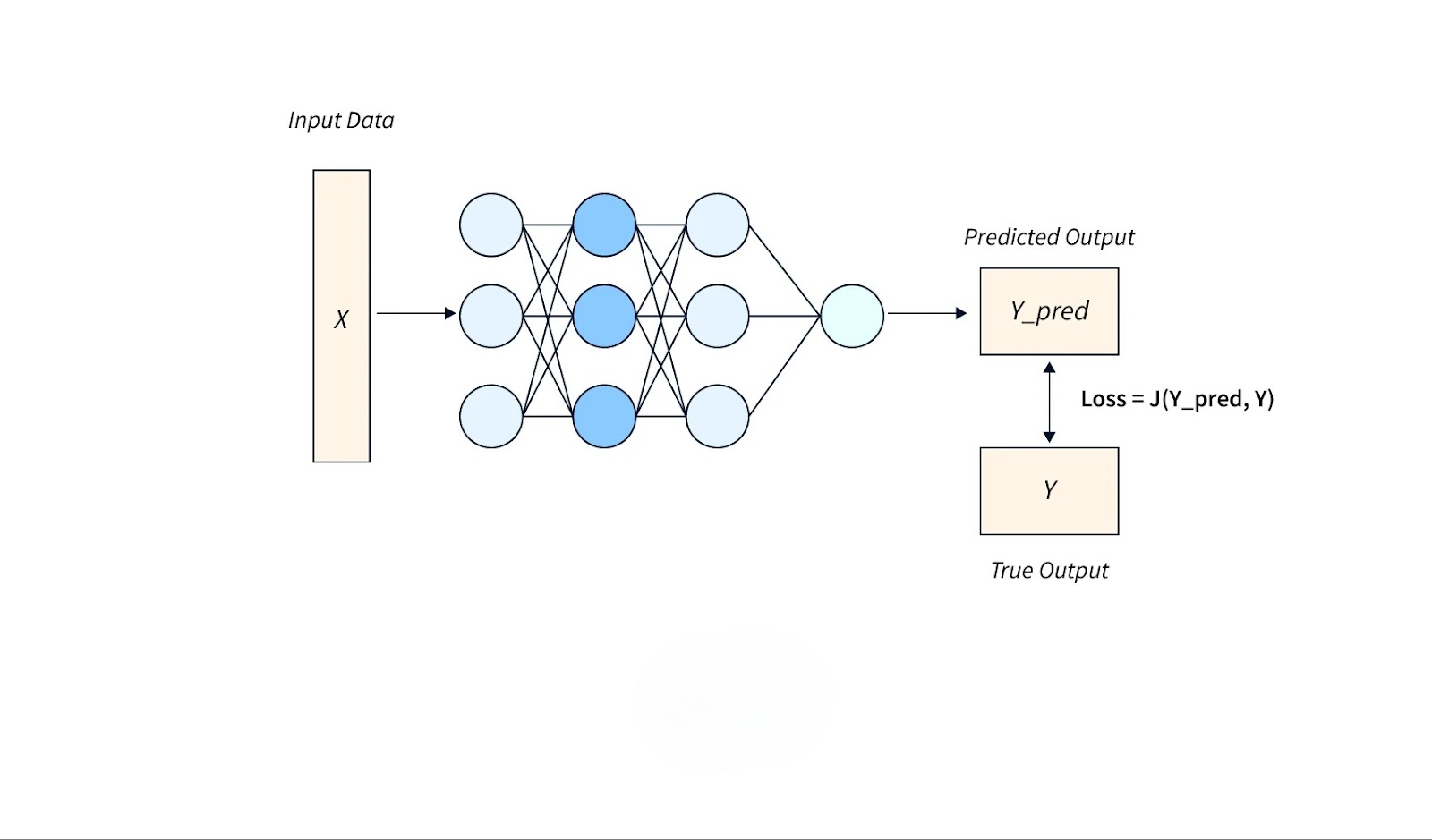 Working of Loss Functions