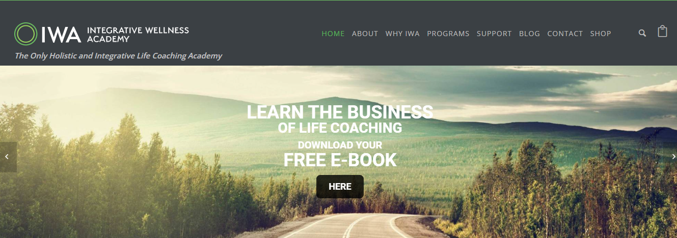 8. Integrative Wellness Academy Master Life Coaching Program