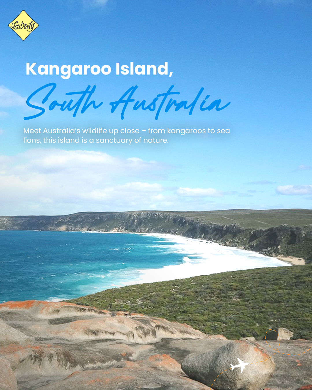 Kangaroo Island, South Australia – Meet Australia's Furry Friends