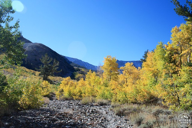 fall spots in mono county 