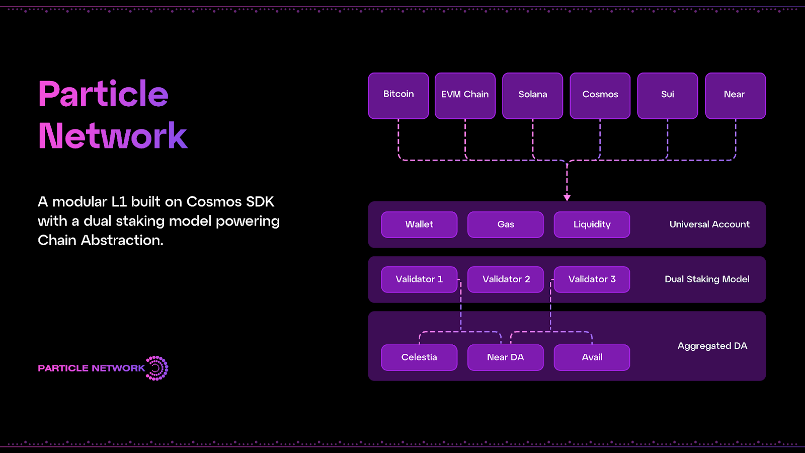 Project Review - Particle Network