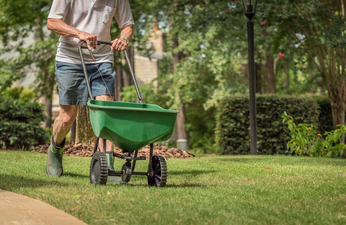 Providing Organic Fertilizer to Lawn