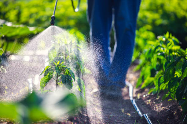 glyphosate pronunciation