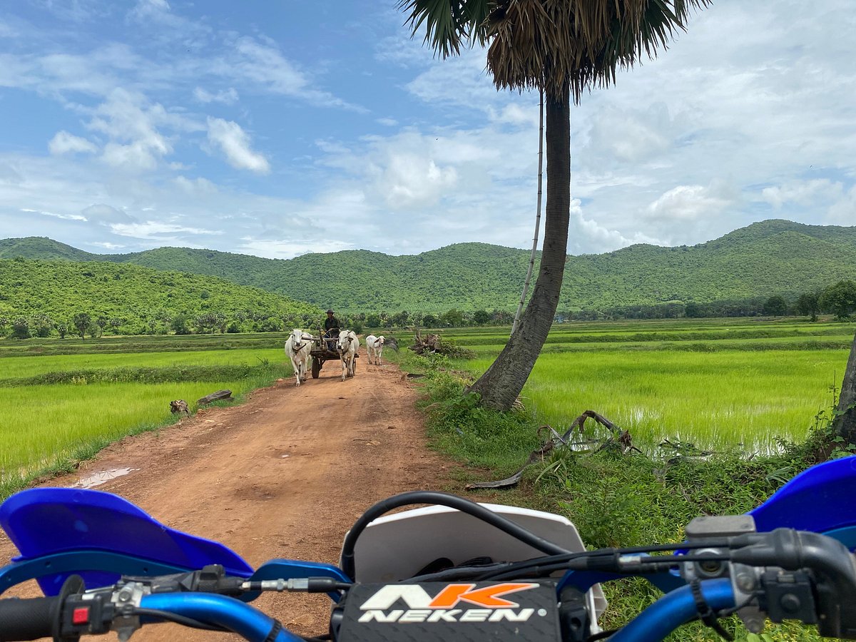 Cambodia Motorbike Tours - All You MUST Know Before You Go (2024)