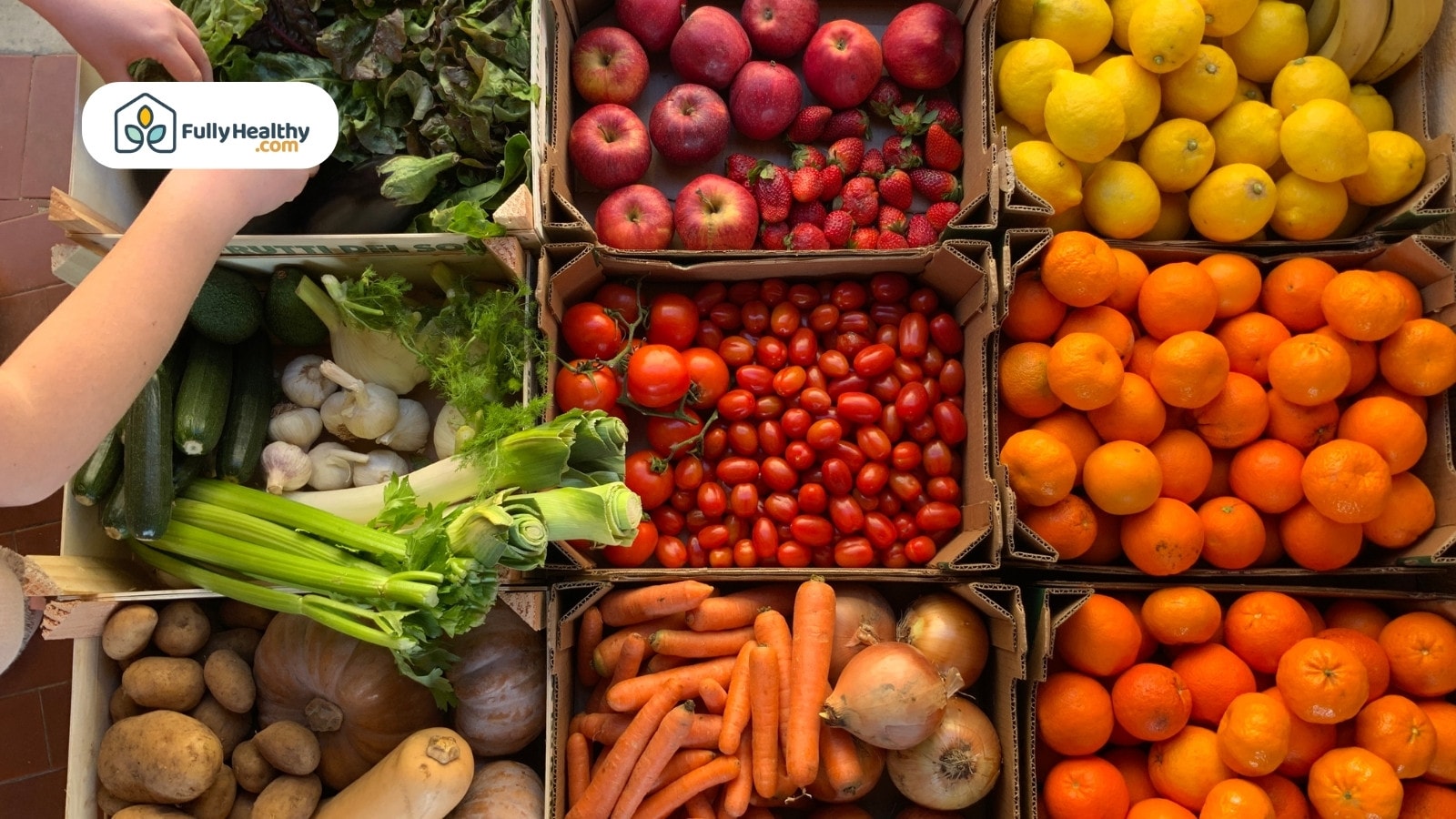 Assorted fruits and vegetables