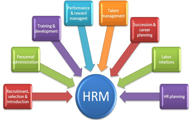 Human Resources Management Assignment 1- 1 - Assignment Help