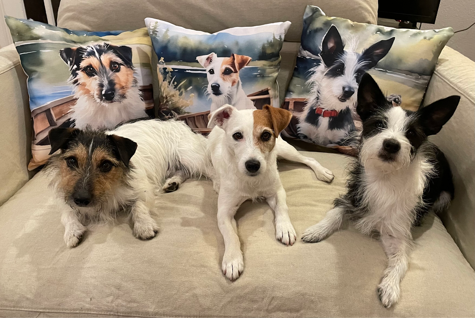 Three terrier dogs on a couch, with three custom pillows featuring AI portraits of each dog on a rowboat