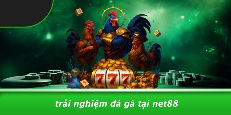 Trải Nghiệm Đá Gà Tại Net88