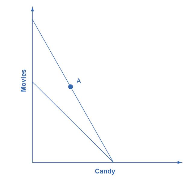 The graph matches the one from Step 1 with the addition of a second downward sloping line that intersects with the original line at the x-axis. The other endpoint of this new line is lower on the y-axis than the one from Step 1.