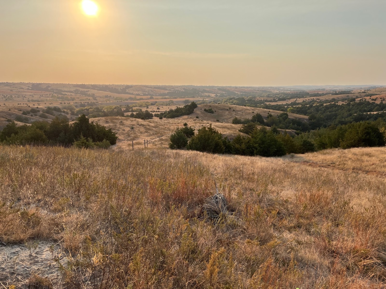 Investing in Land: Unlocking Opportunities for Financial Growth  