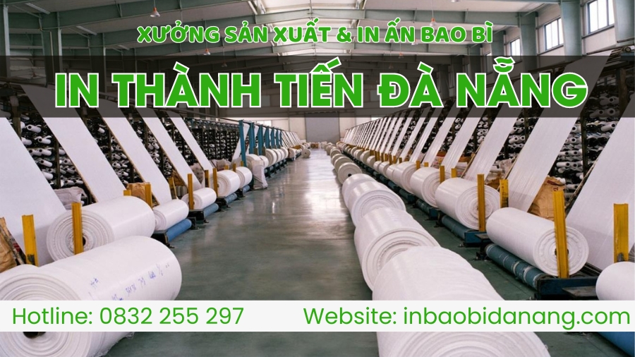 Công ty bao bì, túi ni lông Thành Tiến Đà Nẵng in ấn giá sỉ, giao toàn quốc