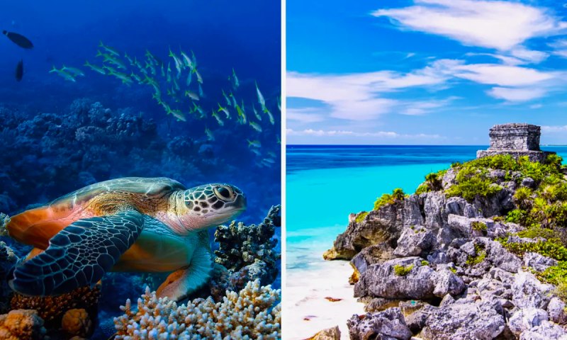 Cozumel or Tulum for Adventure Trip | Which is best in 2023?