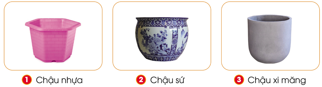 BÀI 4: CHẬU VÀ GIÁ THỂ TRỒNG HOA, CÂY CẢNH