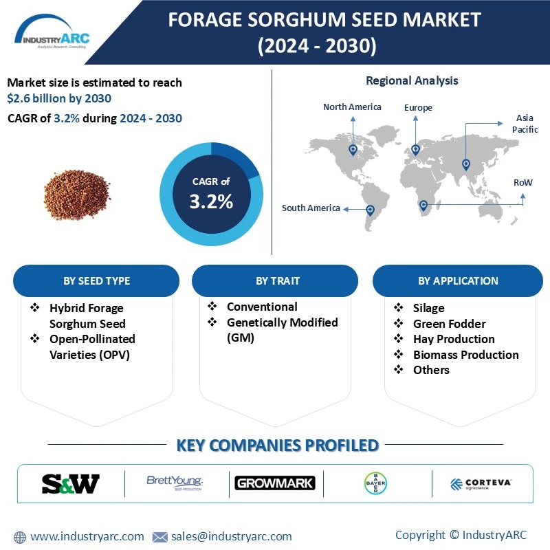 Forage Sorghum Seed Market