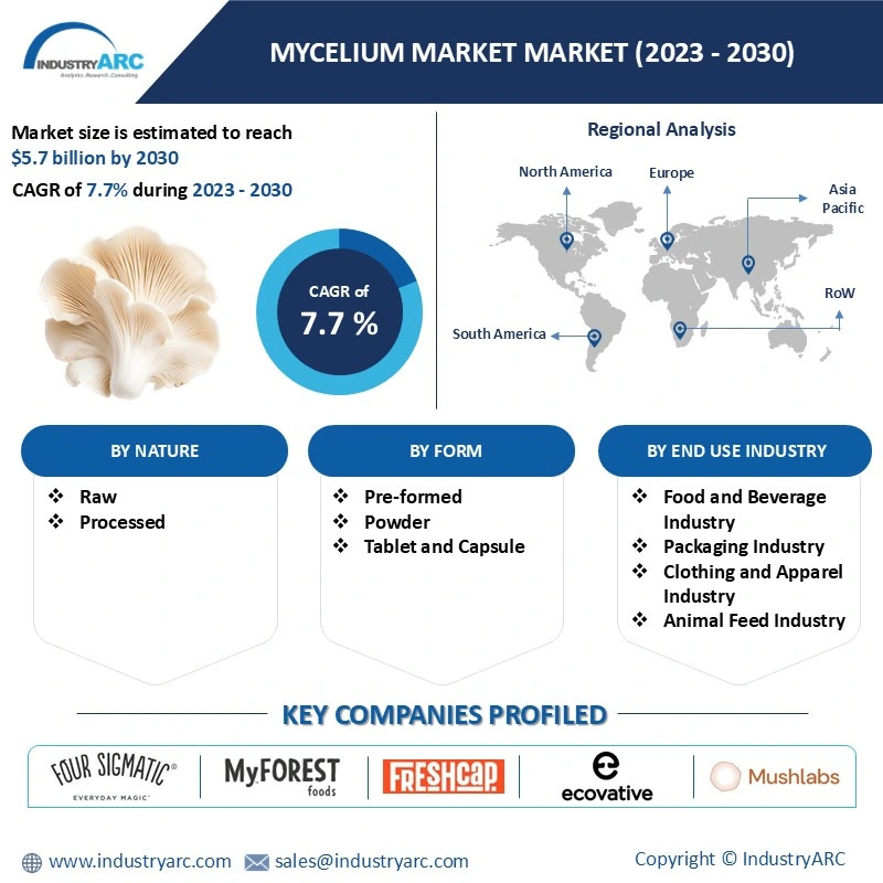 Mycelium Market