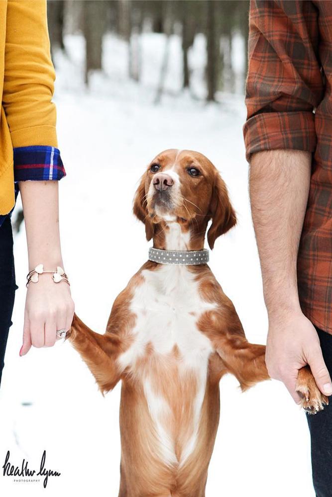 winter engagement shoot with your dog 3