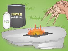 An image with some chemicals like potassium to be used to light a fire in the forest as a technique on how to start a fire without matches or lighters
