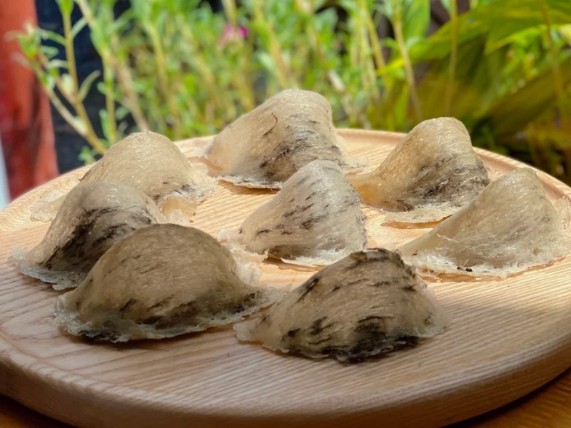 Cách bảo quản yến