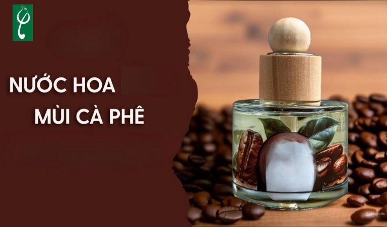 Nước hoa hương cà phê thuộc nhóm oriental (phương Đông) hoặc gourmand (ngọt ngào)