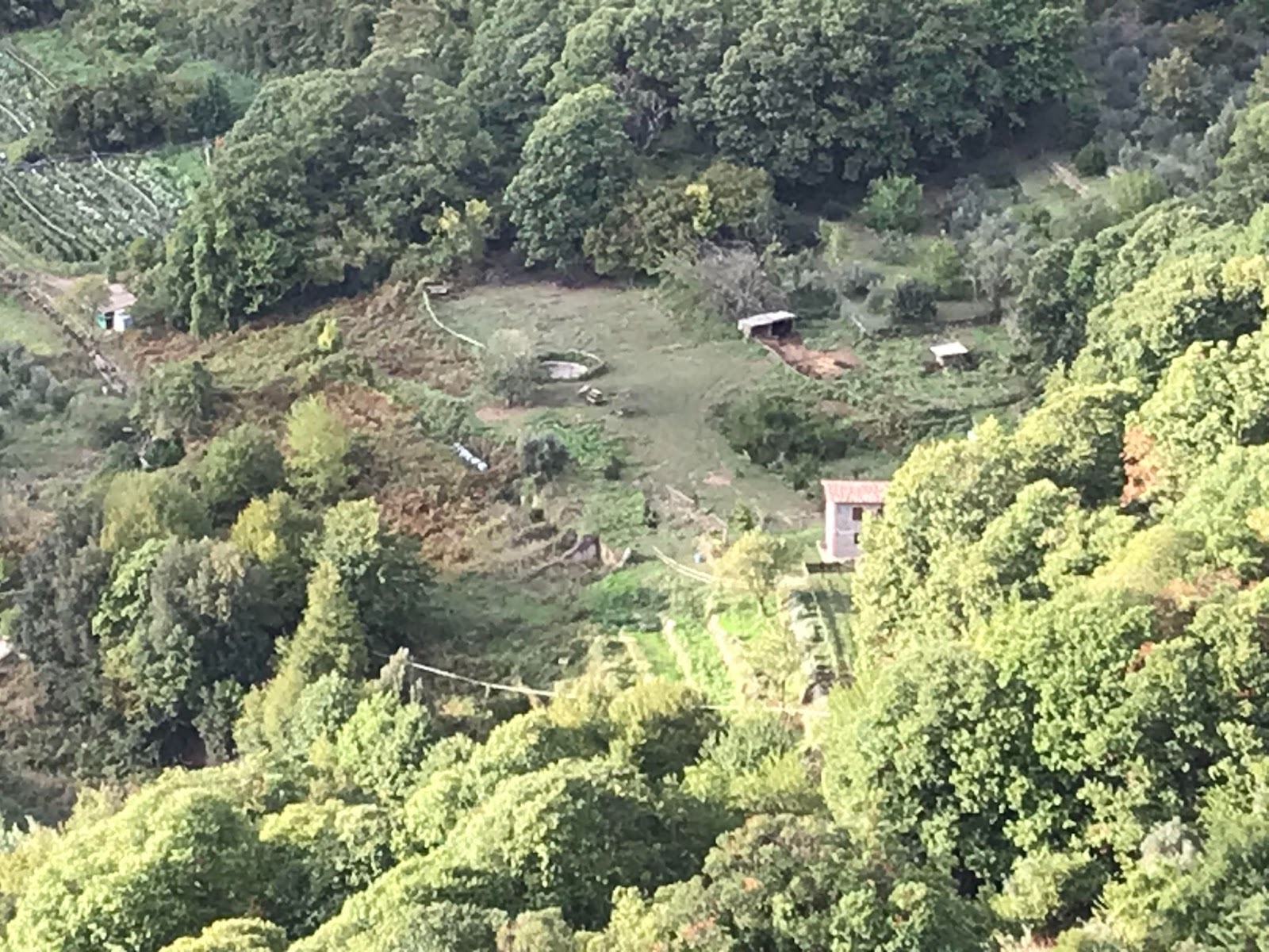 Il Tempio di Diana