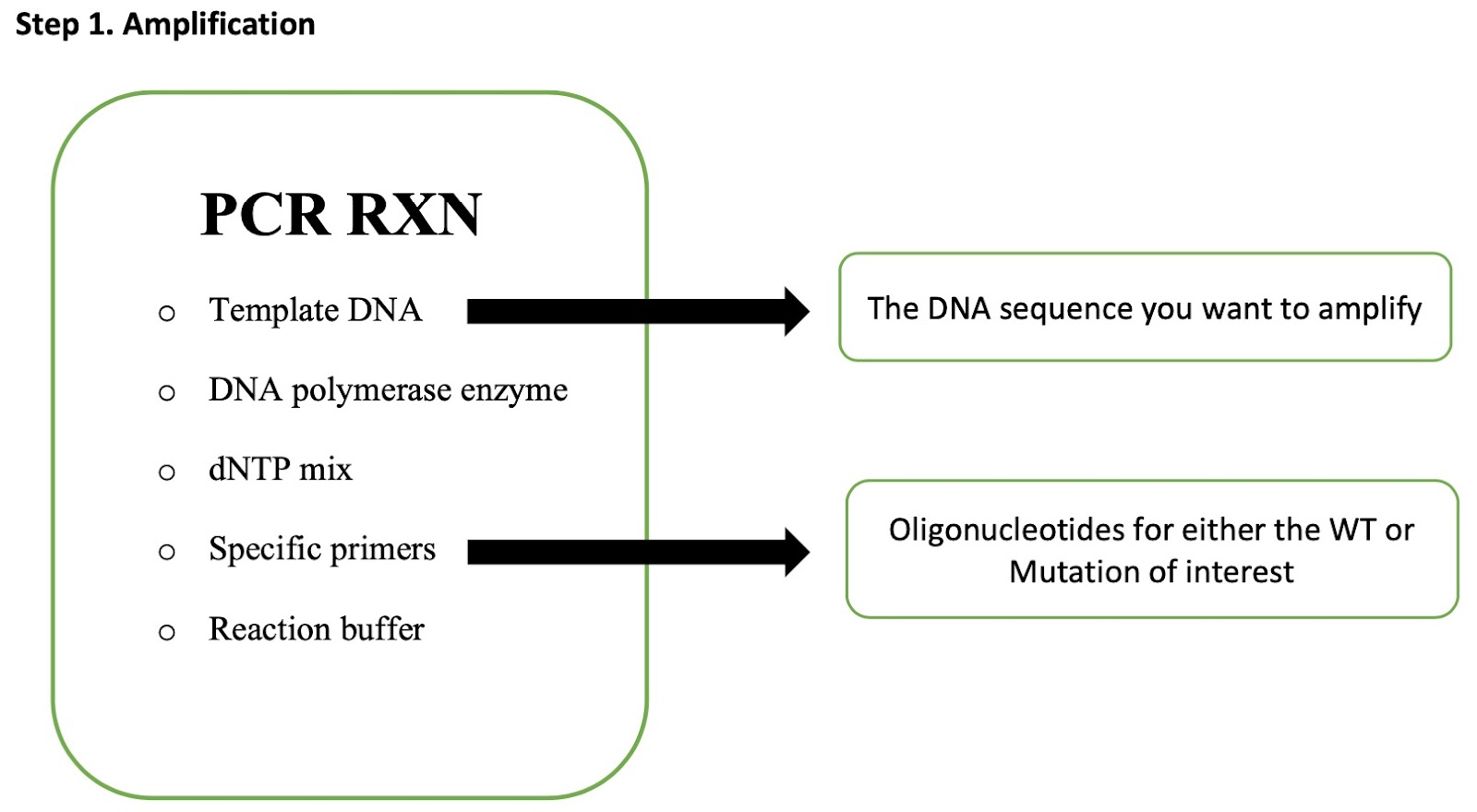 Schematic of step 1 of site-directed mutagenesis. Image description available.