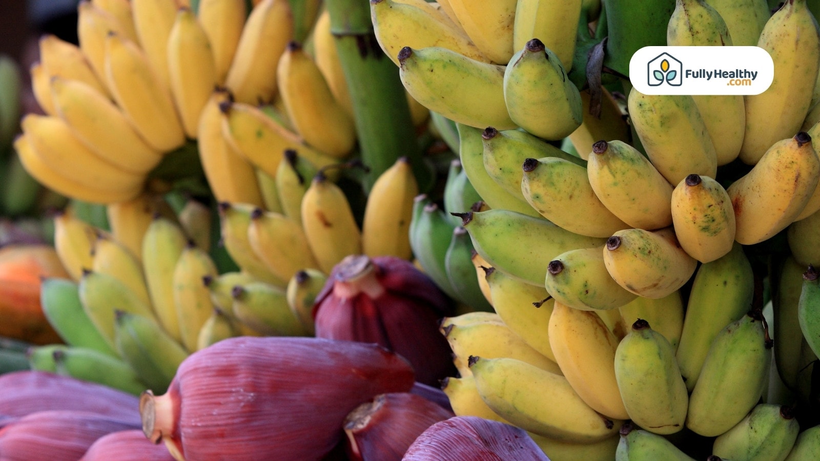 Bananas and banana flower bunches at a market stand