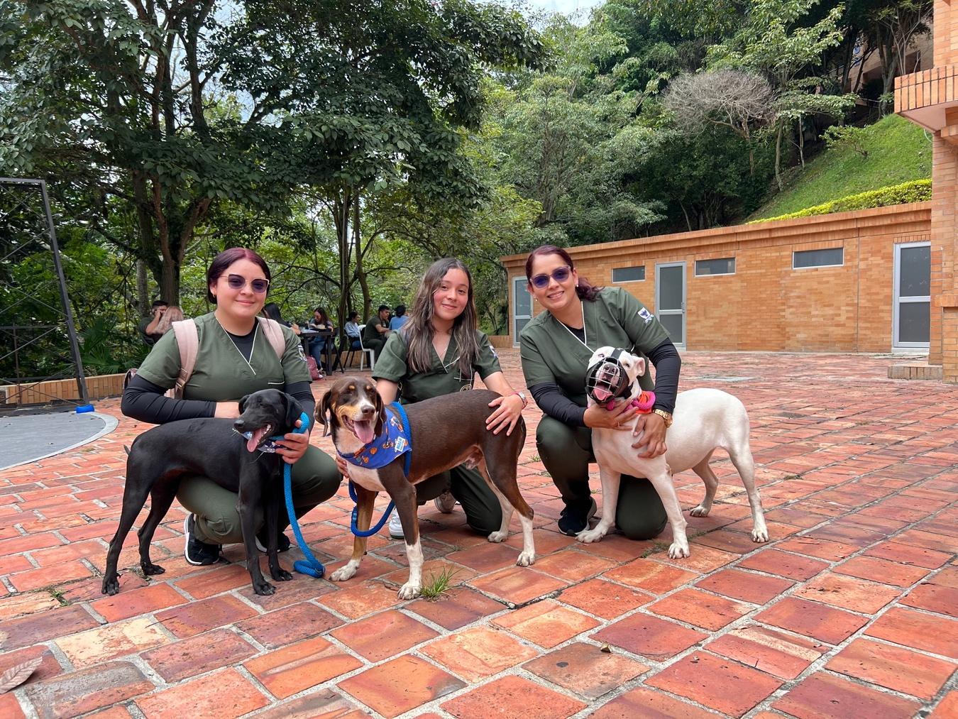 Éxito en la jornada de adopción de caninos y felinos en la UDES: siete familias listas para adoptar