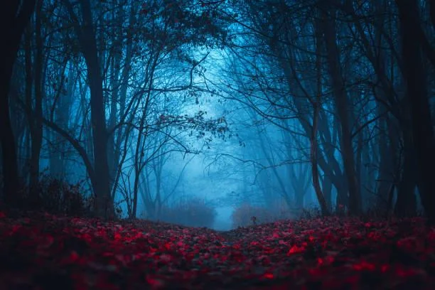 Landscapes to Fall in Love With, romantic landscapes, love nature, nature, landscape, scenic charm, emotional views