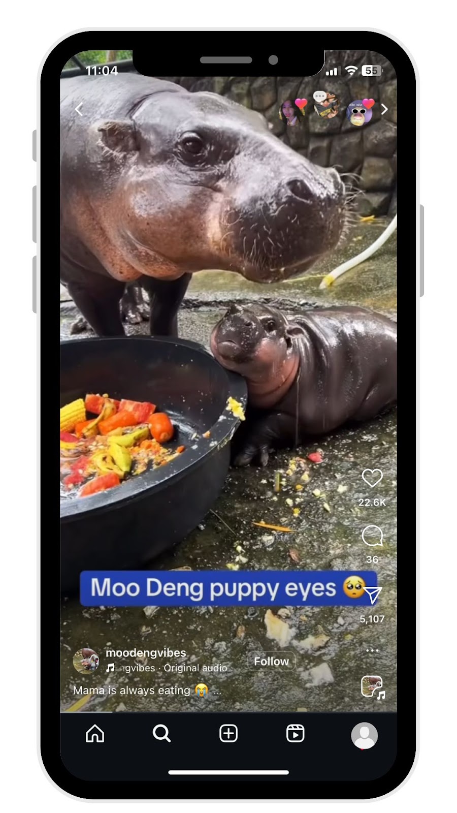 Instagram Trends in 2025: Moo Deng