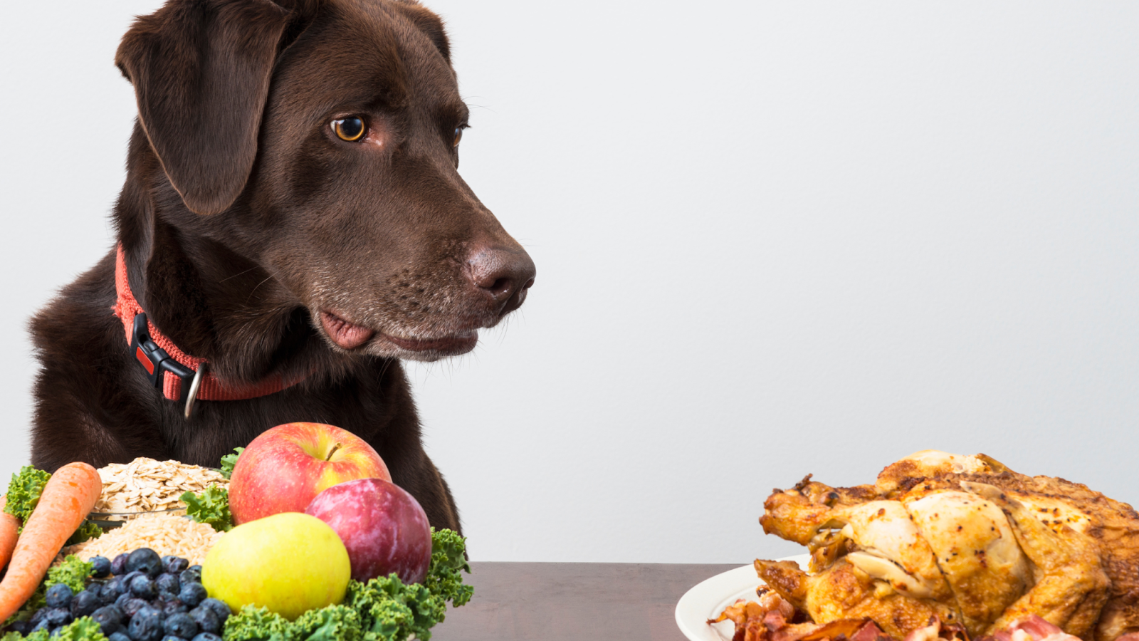 homemade dog treats