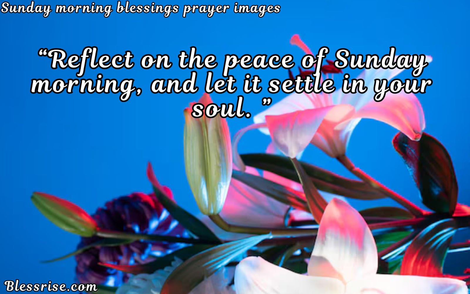 Sunday Blessings Sharing