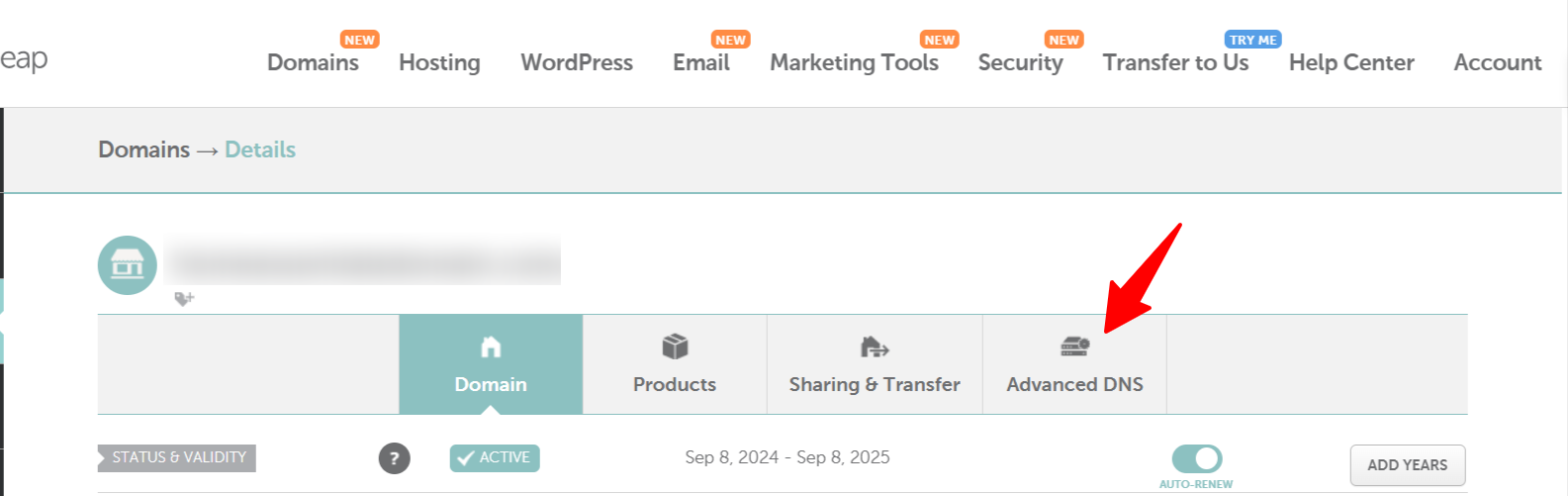 NameCheap DNS verification advanced DNS