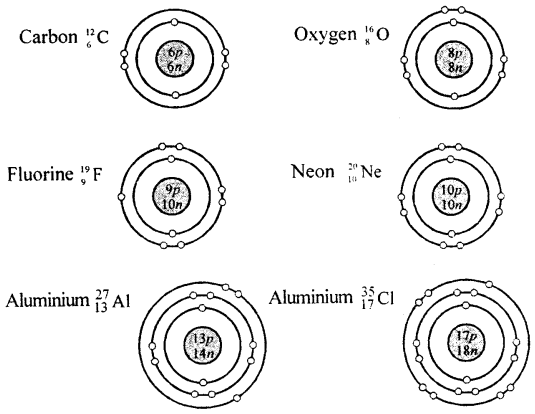 Selina Concise Chemistry Class 8 ICSE Solutions - Atomic Structure 3