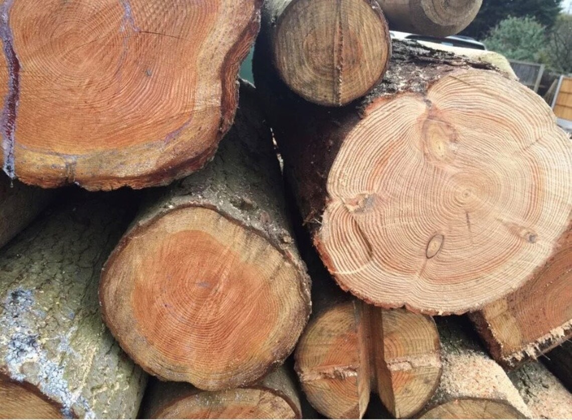 Cut Logs