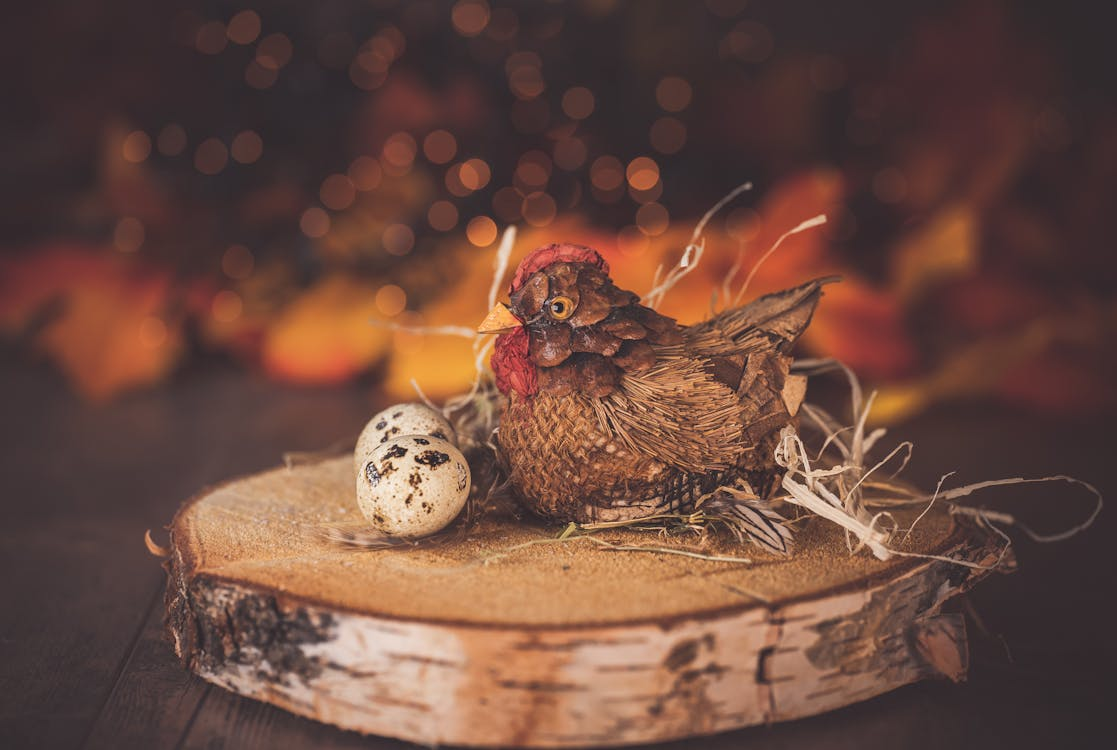 hen with two eggs on a wooden tree piece