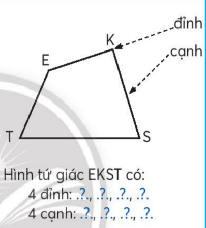 BÀI 12: HÌNH TAM GIÁC, HÌNH TỨ GIÁC